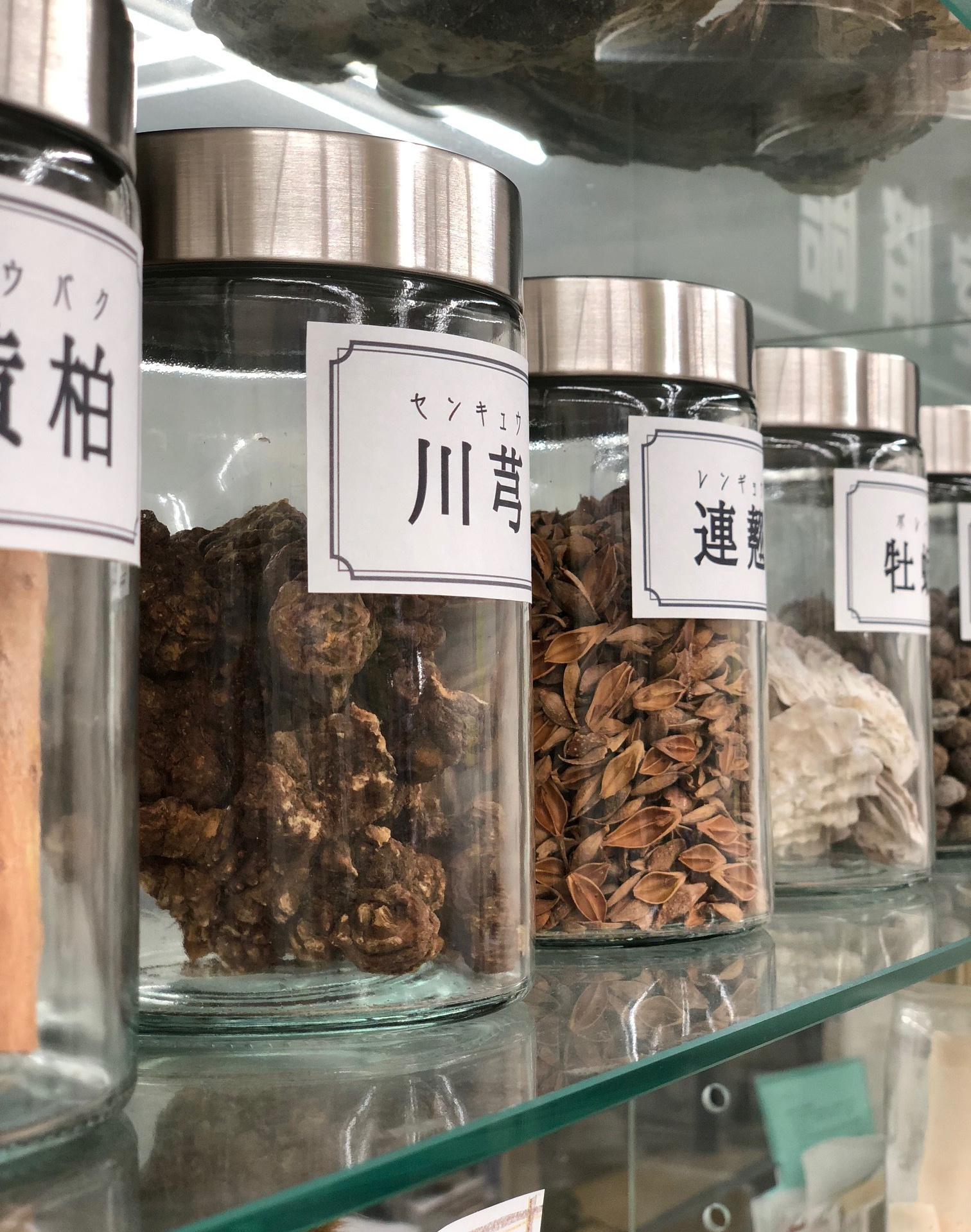 東洋医学と西洋医学